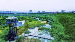 Parque Lineal Rio Pitillal
